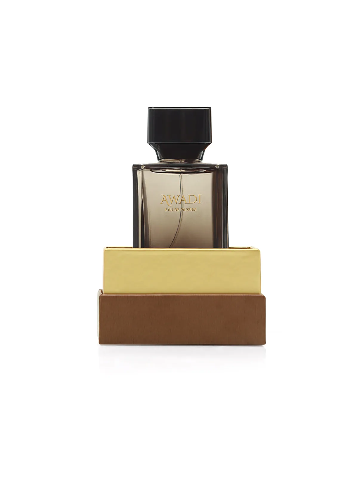 Awadi Men's Fragrance 100ML - EBMF-Awadi